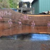 Goby Walnut Products Green Slabs 031219-06 Oregon Black Walnut Slab