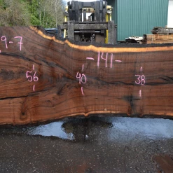 Goby Walnut Products Green Slabs 031219-07 Oregon Black Walnut Slab