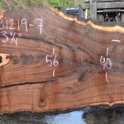 Goby Walnut Products Green Slabs 031219-07 Oregon Black Walnut Slab