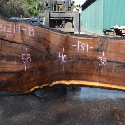 Goby Walnut Products 031219-08 Oregon Black Walnut Slab