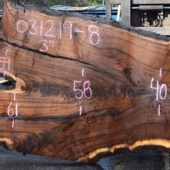 Goby Walnut Products 031219-08 Oregon Black Walnut Slab