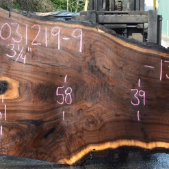 Goby Walnut Products 031219-09 Oregon Black Walnut Slab