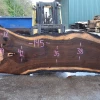 Goby Walnut Products Green Slabs 031219-12 Oregon Black Walnut Slab