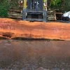 Goby Walnut Oregon Fir Slab 031314-02 Green Slabs
