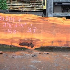 Goby Walnut Oregon Fir Slab 031314-02 Green Slabs