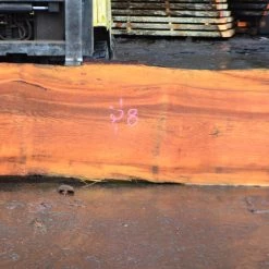 Goby Walnut Oregon Fir Slab 031314-02 Green Slabs