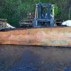Goby Walnut Oregon Fir Slab 031314-04 Green Slabs