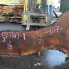 Goby Walnut Products 031319-01 Oregon Black Walnut Slab Green Slabs
