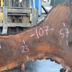 Goby Walnut Products 031319-01 Oregon Black Walnut Slab Green Slabs