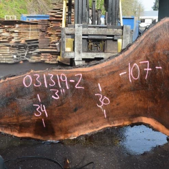 Goby Walnut Products 031319-02 Oregon Black Walnut Slab