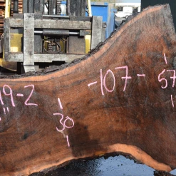 Goby Walnut Products 031319-02 Oregon Black Walnut Slab