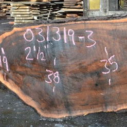 Goby Walnut Products 031319-03 Oregon Black Walnut Slab Green Slabs