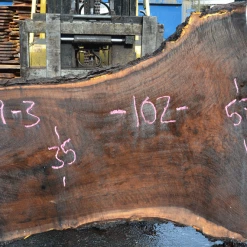 Goby Walnut Products 031319-03 Oregon Black Walnut Slab Green Slabs