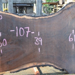 Goby Walnut Products 031319-06 Oregon Black Walnut Slab Green Slabs