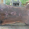 Goby Walnut Products Green Slabs 031319-07 Oregon Black Walnut Slab