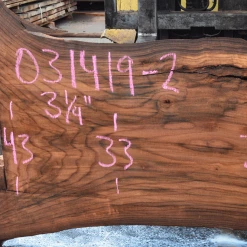 Goby Walnut Products 031419-02 Elm Slab Green Slabs
