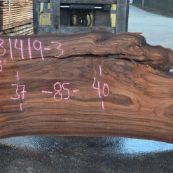 Goby Walnut Products 031419-03 Elm Slab Green Slabs