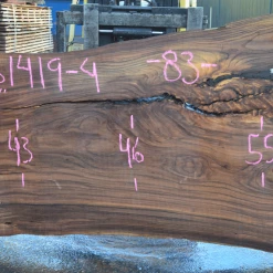 Goby Walnut Products 031419-04 Elm Slab Green Slabs