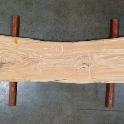 Goby Walnut Elm Slab 031422-1 Green Slabs