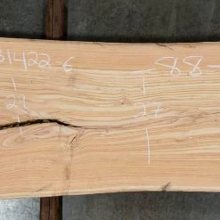 Goby Walnut Green Slabs Elm Slab 031422-6