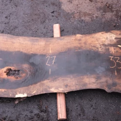 Goby Walnut Products Oregon Black Walnut Slab 031518-01 Green Slabs