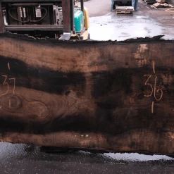 Goby Walnut Products Green Slabs Oregon Black Walnut Slab 031518-02