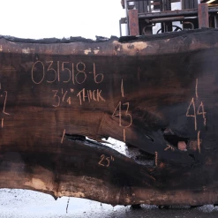 Goby Walnut Products Green Slabs Oregon Black Walnut Slab 031518-06