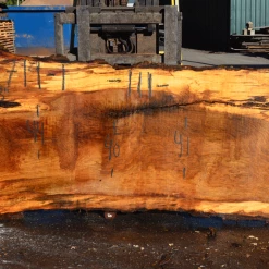 Goby Walnut Products 031719-01 Oregon White Oak Green Slabs