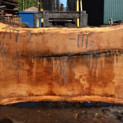 Goby Walnut Products Green Slabs 031719-02 Oregon White Oak