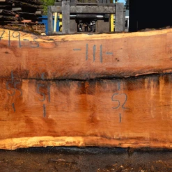 Goby Walnut Products Green Slabs 031719-03 Oregon White Oak