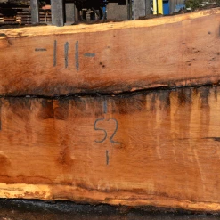 Goby Walnut Products Green Slabs 031719-03 Oregon White Oak