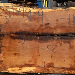 Goby Walnut Products Green Slabs 031719-04 Oregon White Oak