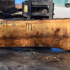 Goby Walnut Products Green Slabs 031719-06 Oregon White Oak