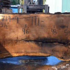 Goby Walnut Products Green Slabs 031719-09 Oregon White Oak