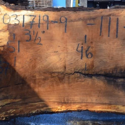 Goby Walnut Products Green Slabs 031719-09 Oregon White Oak