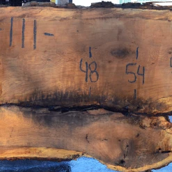 Goby Walnut Products Green Slabs 031719-09 Oregon White Oak