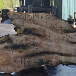 Goby Walnut Products Green Slabs 031819-08 Big Leaf Maple Slab