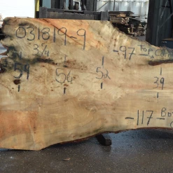 Goby Walnut Products Green Slabs 031819-09 Big Leaf Maple Slab