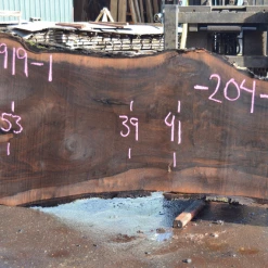 Goby Walnut Products Green Slabs 031919-01 Oregon Black Walnut Slab