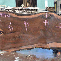 Goby Walnut Products 031919-02 Oregon Black Walnut Slab