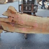 Goby Walnut Products Big Leaf Maple Slab 031920-01 Green Slabs