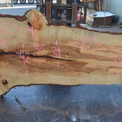 Goby Walnut Products Green Slabs Big Leaf Maple Slab 031920-04