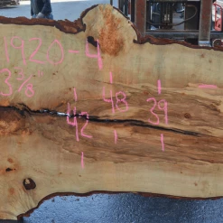Goby Walnut Products Green Slabs Big Leaf Maple Slab 031920-04