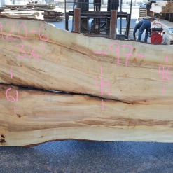 Goby Walnut Products Big Leaf Maple Slab 031920-06 Green Slabs