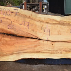 Goby Walnut Products Big Leaf Maple Slab 031920-07 Green Slabs