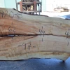 Goby Walnut Products Green Slabs Big Leaf Maple Slab 031920-08