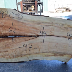 Goby Walnut Products Green Slabs Big Leaf Maple Slab 031920-08