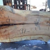 Goby Walnut Products Big Leaf Maple Slab 031920-09