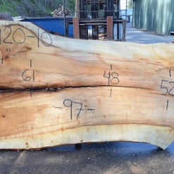 Goby Walnut Products Green Slabs Big Leaf Maple Slab 031920-10