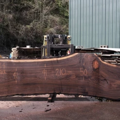 Goby Walnut Products Oregon Black Walnut Slab 032818-04 Green Slabs